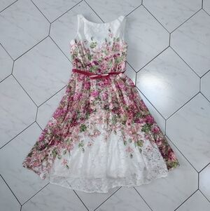 Danny & Nicole Pink Floral Lace Dress Size 4